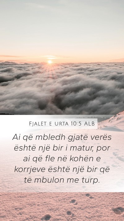 Fjalët e urta 10:5 ALB Bible Verse Image