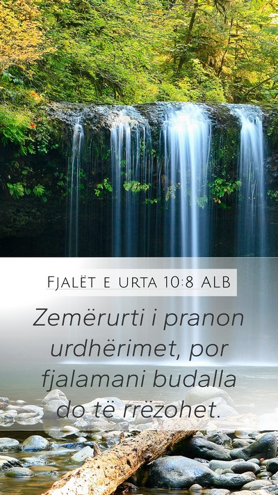 Fjalët e urta 10:8 ALB Bible Verse Image
