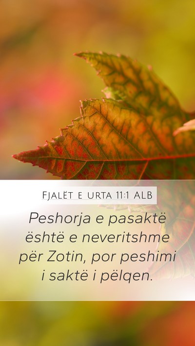Fjalët e urta 11:1 ALB Bible Verse Image