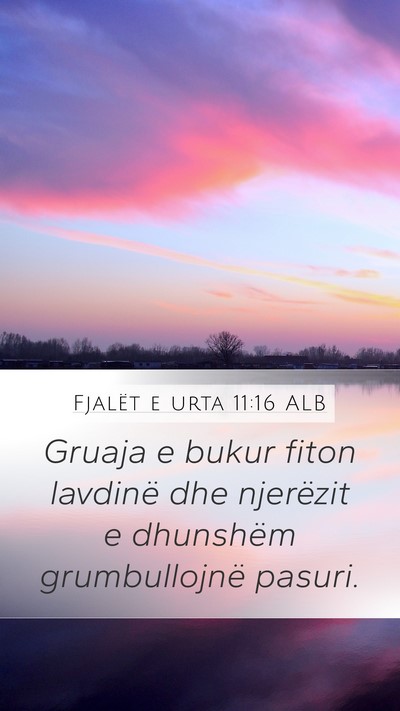Fjalët e urta 11:16 ALB Mobile Phone Wallpaper - Gruaja e bukur fiton lavdinë dhe njerëzit e - Mobile Bible Verse Wallpaper