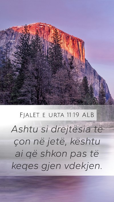 Fjalët e urta 11:19 ALB Bible Verse Image