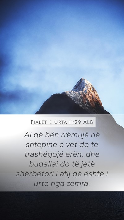 Fjalët e urta 11:29 ALB Bible Verse Image