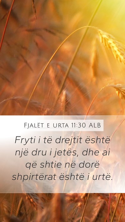 Fjalët e urta 11:30 ALB Bible Verse Image