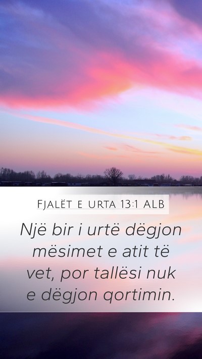 Fjalët e urta 13:1 ALB Mobile Phone Wallpaper - Një bir i urtë dëgjon mësimet e atit të vet, - Mobile Bible Verse Wallpaper