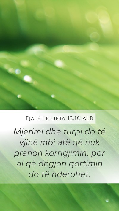 Fjalët e urta 13:18 ALB Bible Verse Image