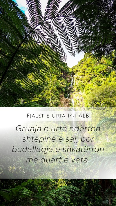 Fjalët e urta 14:1 ALB Bible Verse Image