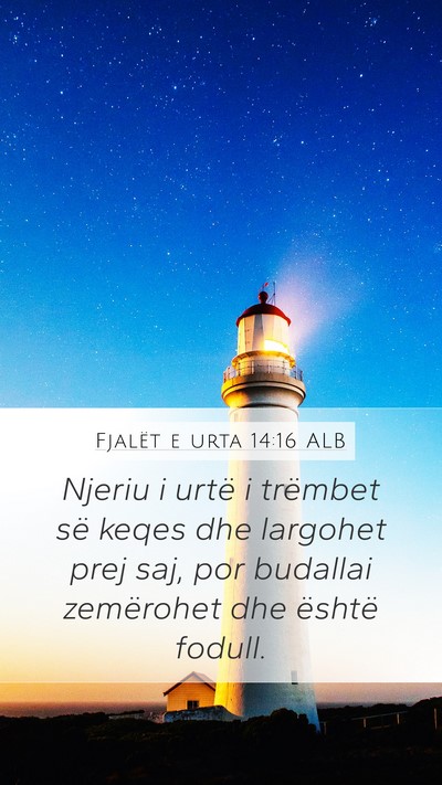 Fjalët e urta 14:16 ALB Bible Verse Image