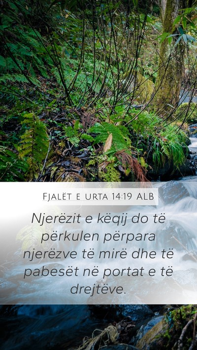 Fjalët e urta 14:19 ALB Bible Verse Image