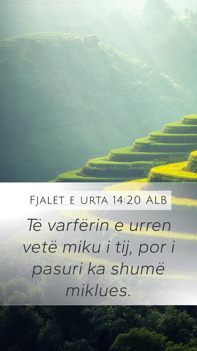 Fjalët e urta 14:20 ALB Bible Verse Image