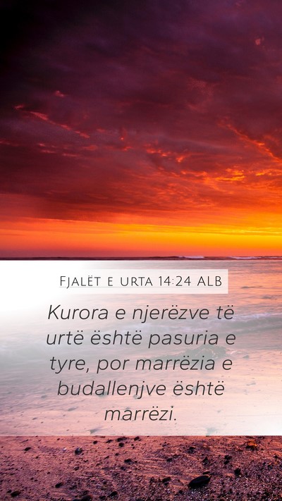 Fjalët e urta 14:24 ALB Mobile Phone Wallpaper - Kurora e njerëzve të urtë është pasuria e - Mobile Bible Verse Wallpaper