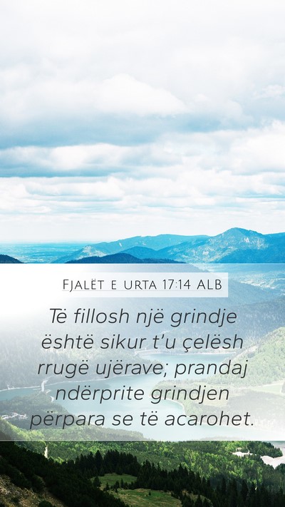 Fjalët e urta 17:14 ALB Bible Verse Image