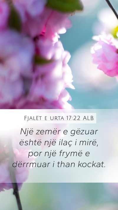 Fjalët e urta 17:22 ALB Bible Verse Image