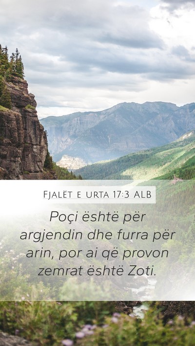 Fjalët e urta 17:3 ALB Bible Verse Image