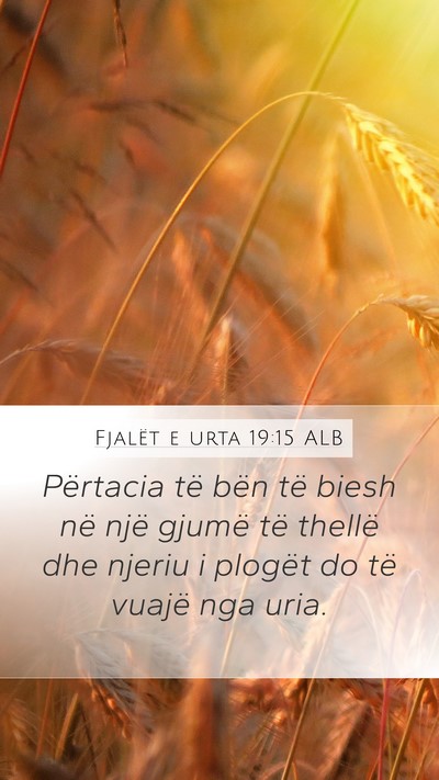 Fjalët e urta 19:15 ALB Bible Verse Image