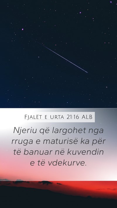 Fjalët e urta 21:16 ALB Bible Verse Image