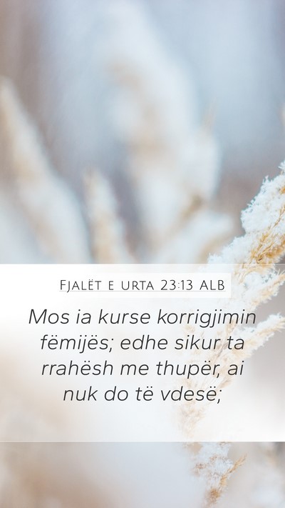 Fjalët e urta 23:13 ALB Bible Verse Image