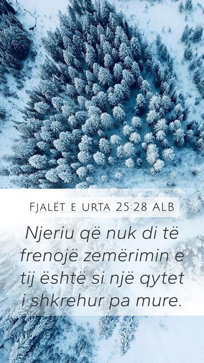Fjalët e urta 25:28 ALB Bible Verse Image