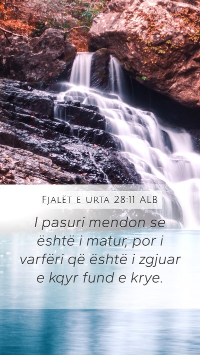 Fjalët e urta 28:11 ALB Bible Verse Image