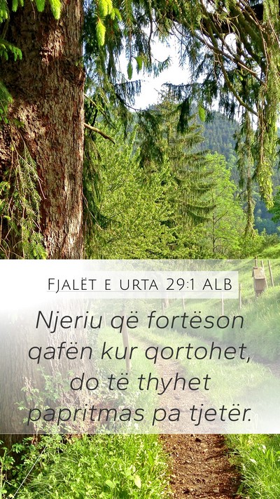 Fjalët e urta 29:1 ALB Bible Verse Image