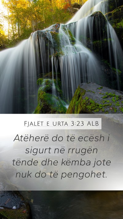 Fjalët e urta 3:23 ALB Bible Verse Image