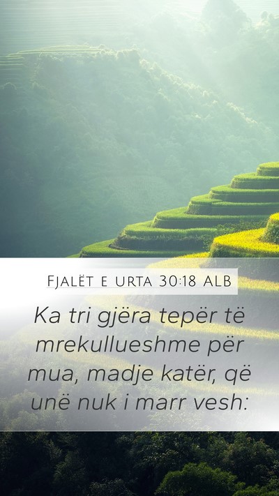 Fjalët e urta 30:18 ALB Mobile Phone Wallpaper - Ka tri gjëra tepër të mrekullueshme për mua, - Mobile Bible Verse Wallpaper