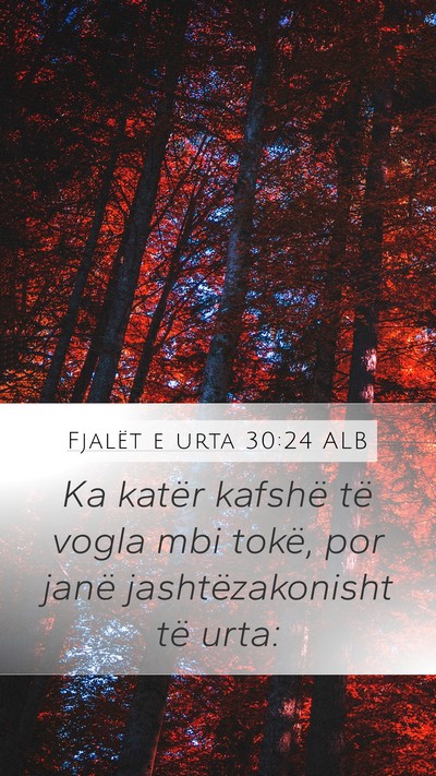 Fjalët e urta 30:24 ALB Bible Verse Image