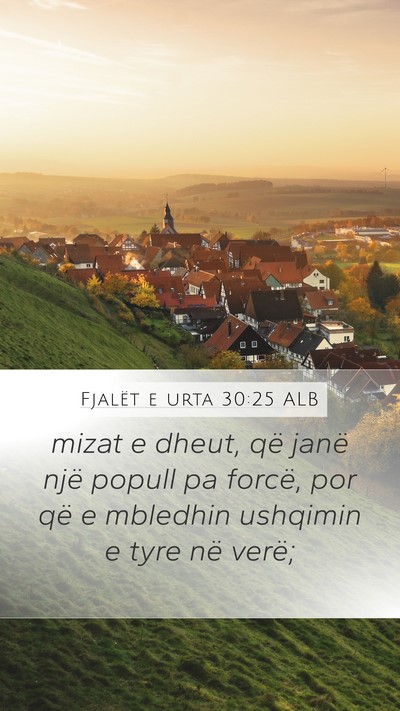 Fjalët e urta 30:25 ALB Bible Verse Image