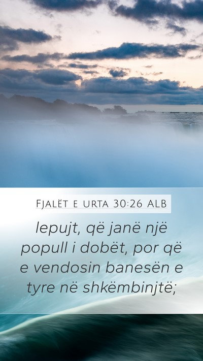 Fjalët e urta 30:26 ALB Mobile Phone Wallpaper - lepujt, që janë një popull i dobët, por që e - Mobile Bible Verse Wallpaper