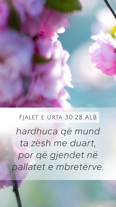 Fjalët e urta 30:28 ALB Mobile Phone Wallpaper - hardhuca që mund ta zësh me duart, por që - Mobile Bible Verse Wallpaper