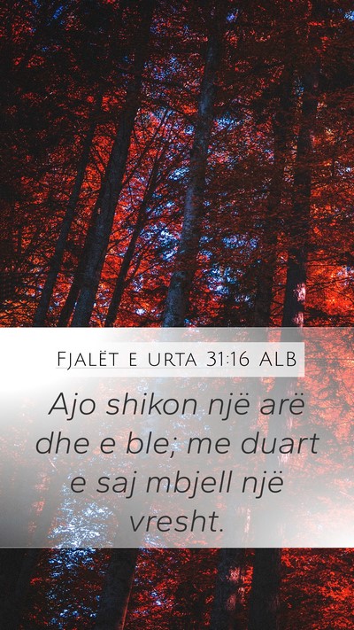 Fjalët e urta 31:16 ALB Bible Verse Image