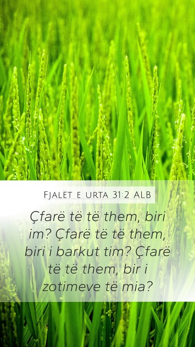 Fjalët e urta 31:2 ALB Mobile Phone Wallpaper - Çfarë të të them, biri im? Çfarë të të - Mobile Bible Verse Wallpaper