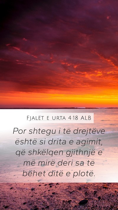 Fjalët e urta 4:18 ALB Bible Verse Image