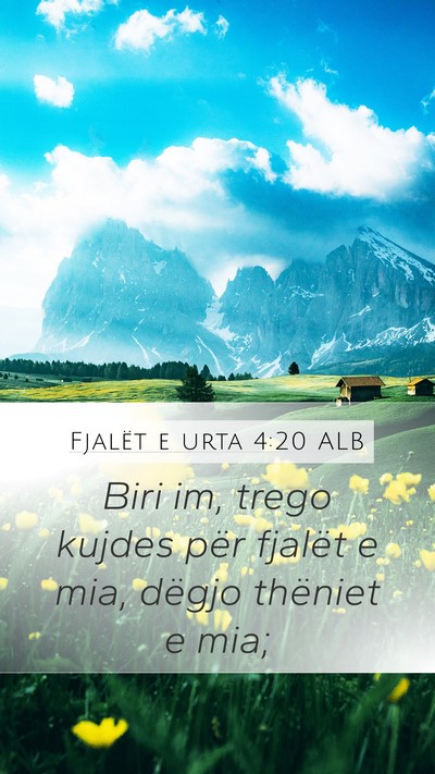 Fjalët e urta 4:20 ALB Bible Verse Image