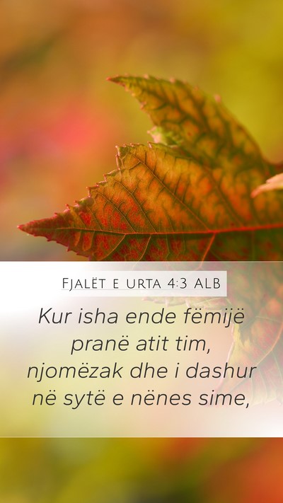 Fjalët e urta 4:3 ALB Bible Verse Image