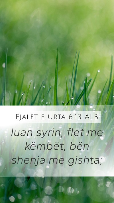 Fjalët e urta 6:13 ALB Bible Verse Image