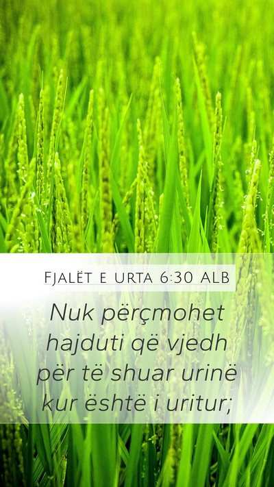 Fjalët e urta 6:30 ALB Bible Verse Image