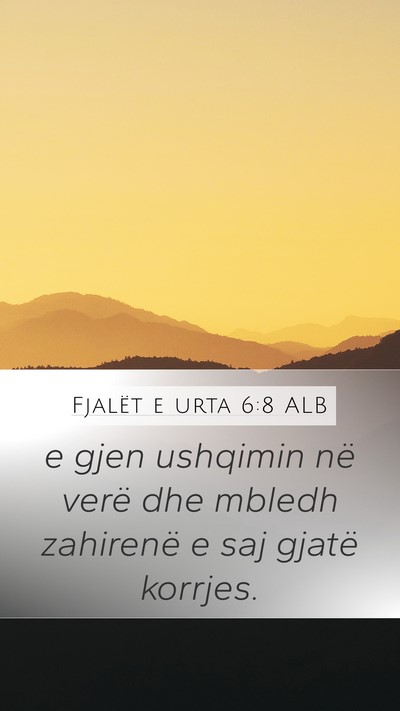 Fjalët e urta 6:8 ALB Mobile Phone Wallpaper - e gjen ushqimin në verë dhe mbledh zahirenë e - Mobile Bible Verse Wallpaper
