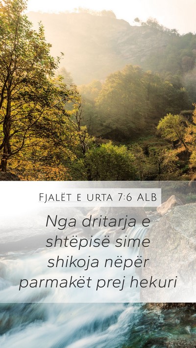 Fjalët e urta 7:6 ALB Mobile Phone Wallpaper - Nga dritarja e shtëpisë sime shikoja nëpër - Mobile Bible Verse Wallpaper