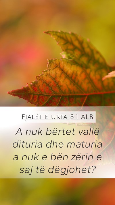 Fjalët e urta 8:1 ALB Bible Verse Image