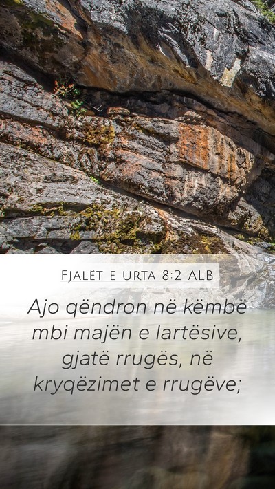 Fjalët e urta 8:2 ALB Bible Verse Image