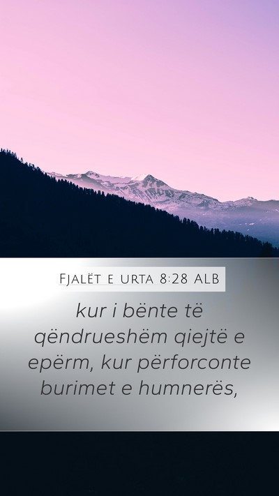 Fjalët e urta 8:28 ALB Bible Verse Image