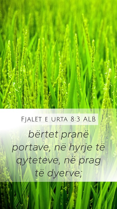 Fjalët e urta 8:3 ALB Mobile Phone Wallpaper - bërtet pranë portave, në hyrje të qyteteve, - Mobile Bible Verse Wallpaper