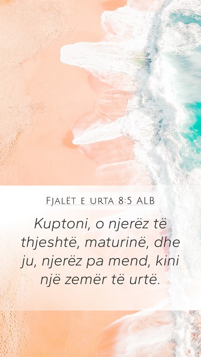 Fjalët e urta 8:5 ALB Bible Verse Image
