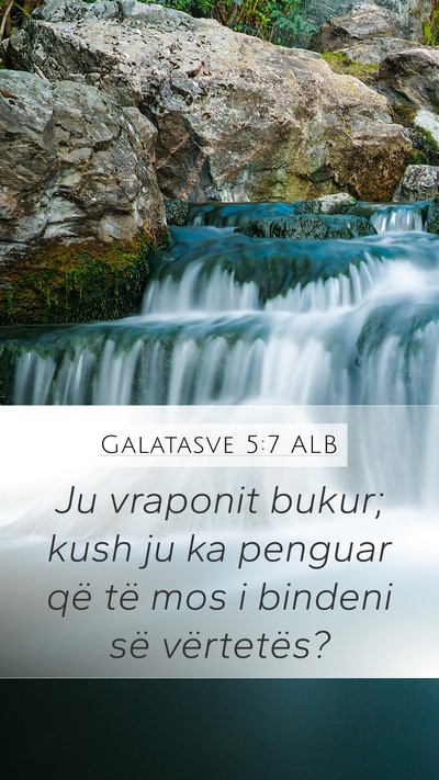Galatasve 5:7 ALB Bible Verse Image