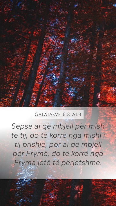 Galatasve 6:8 ALB Bible Verse Image