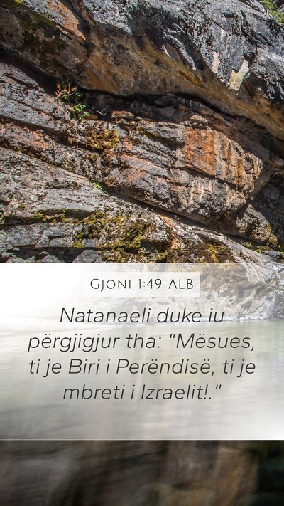 Gjoni 1:49 ALB Bible Verse Image