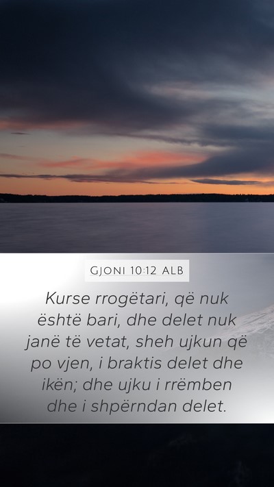 Gjoni 10:12 ALB Bible Verse Image