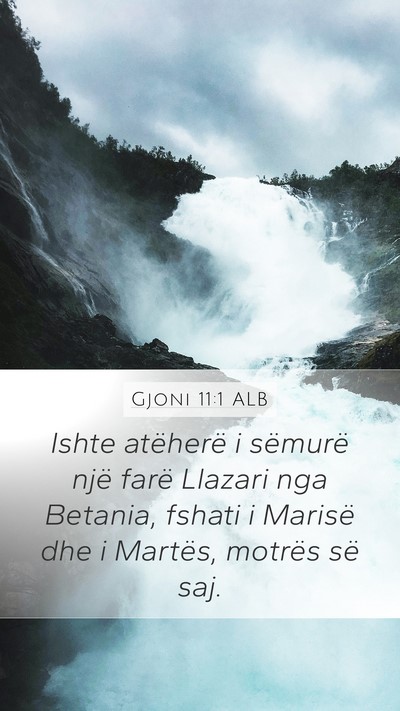 Gjoni 11:1 ALB Bible Verse Image