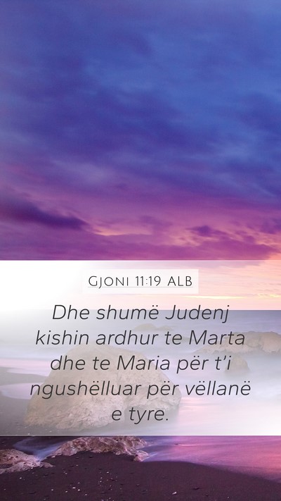 Gjoni 11:19 ALB Bible Verse Image