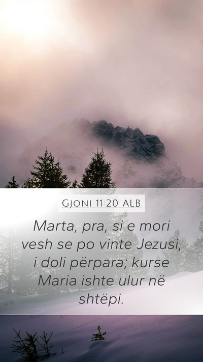 Gjoni 11:20 ALB Bible Verse Image